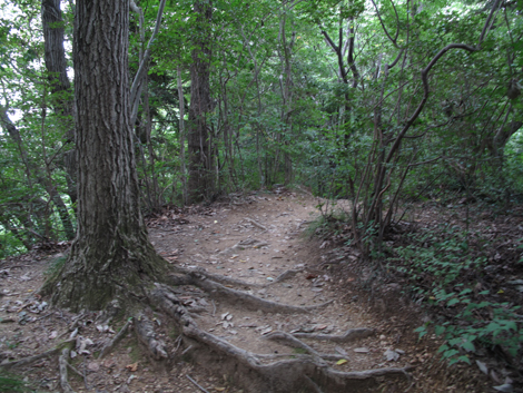20171005hike (28)